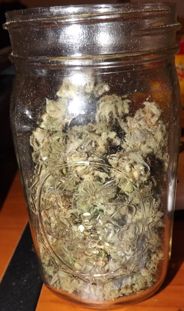 Homegrown cannabis curing