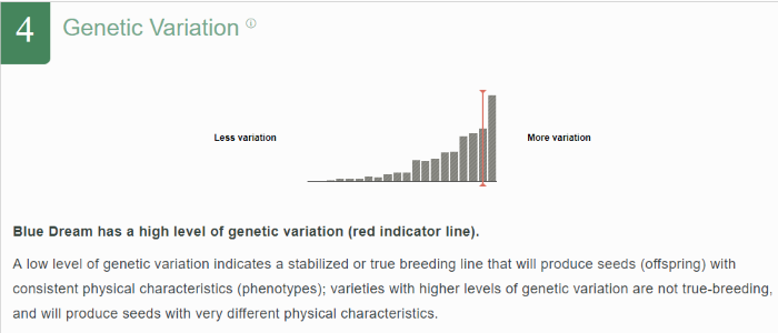 Blue Dream strain High Genetic Variation