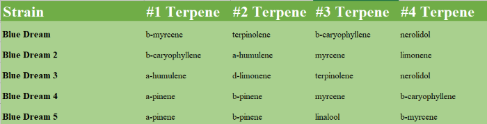 Blue Dream Strains Terpene Test Results