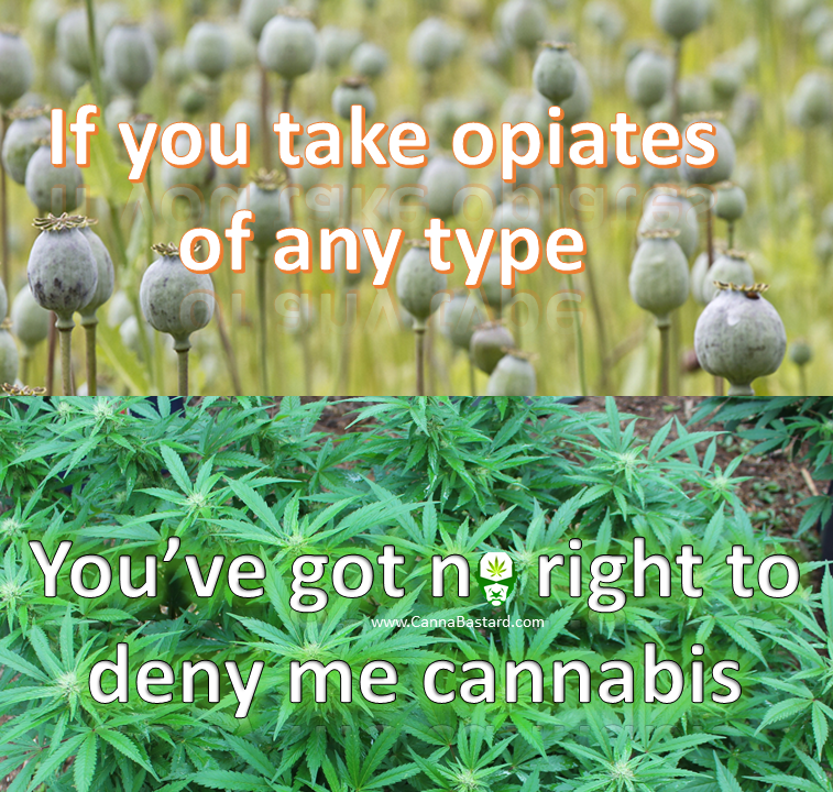 cannabastard-opiates-meme