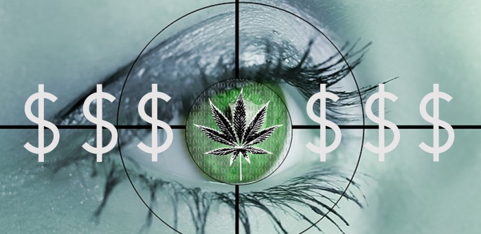 SHOCKING: Cannabis Consultant Charges Money for Services, Advice